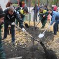 В Челябинске сад Победы будет вишневым. К юбилею Чехова высокопоставленные чиновники и актеры городских театров посадили вишни