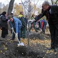 В Челябинске сад Победы будет вишневым. К юбилею Чехова высокопоставленные чиновники и актеры городских театров посадили вишни