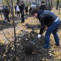 В Челябинске сад Победы будет вишневым. К юбилею Чехова высокопоставленные чиновники и актеры городских театров посадили вишни