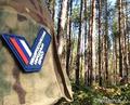 Челябинский штаб ОНФ призвал общественность к совместной защите леса в Красноармейском районе