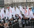 Челябинские активисты ОНФ приняли участие в митинг-концерте «Крымская весна»
